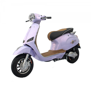 XE MÁY ĐIỆN ALLY A1 S 2023