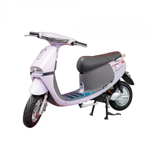 XE MÁY ĐIỆN ALLY A5