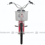 XE ĐẠP TRẺ EM ASAMA BREEZE 20 (2002)