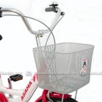 XE ĐẠP TRẺ EM ASAMA BREEZE 20 (2002)