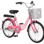 XE ĐẠP TRẺ EM ASAMA BREEZE 20 (2002)