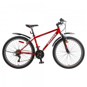 XE ĐẠP ASAMA MOUNTAINEER MTB 2604