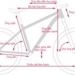 XE ĐẠP ASAMA RANGER MTB 2605