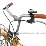 XE ĐẠP ASAMA ESSENCE 24 (PU24)