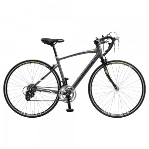 XE ĐẠP ASAMA SOLANO 2.0 700C (SL2804)