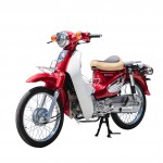 XE CUB 50CC 81 DAELIM 2022