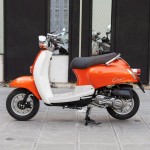 XE GA 50CC DIBAO CREER