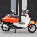 XE GA 50CC DIBAO CREER