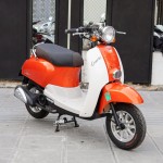 XE GA 50CC DIBAO CREER