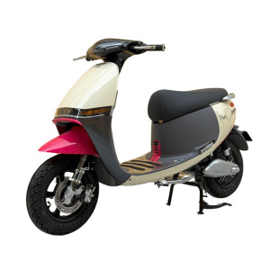 XE MÁY ĐIỆN DIBAO GOGO CROWN