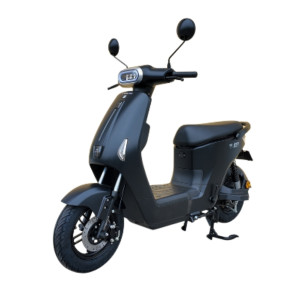 XE MÁY ĐIỆN DIBAO RYAN