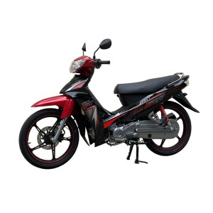 XE MÁY DIBAO SIR 50CC