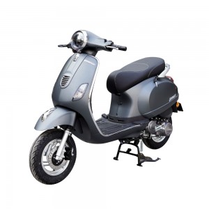 XE GA 50CC DIBAO PANSY XS 2022