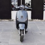 XE GA 50CC DIBAO PANSY XS 2022