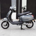 XE GA 50CC DIBAO PANSY XS 2022