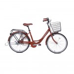 XE ĐẠP THỐNG NHẤT LD 24-01
