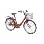 XE ĐẠP THỐNG NHẤT LD 24-01