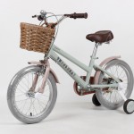 XE ĐẠP TRẺ EM THỐNG NHẤT LOVE 16"