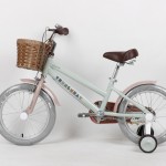 XE ĐẠP TRẺ EM THỐNG NHẤT LOVE 16"
