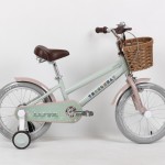XE ĐẠP TRẺ EM THỐNG NHẤT LOVE 16"