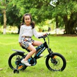 XE ĐẠP TRẺ EM TOTEM 711-16