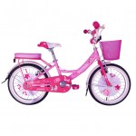 XE ĐẠP TRẺ EM TOTEM ANGEL AG20