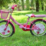 XE ĐẠP TRẺ EM TOTEM ANGEL AG20