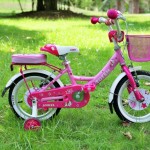 XE ĐẠP TRẺ EM TOTEM ANGEL AG16