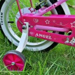 XE ĐẠP TRẺ EM TOTEM ANGEL AG20