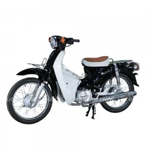 XE CUB 81 ROLLO 2022