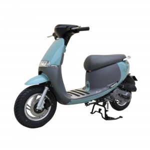 XE GA 50CC DIBAO GOFAST