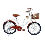 XE ĐẠP TRẺ EM WAHAMA PHOENIX 20