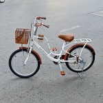 XE ĐẠP TRẺ EM WAHAMA PHOENIX 20