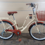 XE ĐẠP WAHAMA PHOENIX 26