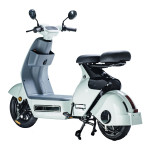 XE ĐIỆN TAKASHI X2