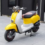 XE GA 50CC CREA VINSKY 2022