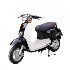 XE MÁY ĐIỆN DIBAO CREER E