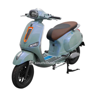 XE MÁY ĐIỆN DIBAO PANSY DIO+