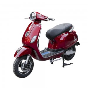 XE MÁY ĐIỆN DIBAO PANSY S2 2022