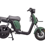 XE ĐIỆN TAKASHI FIGO