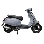XE GA 50CC CANELY S